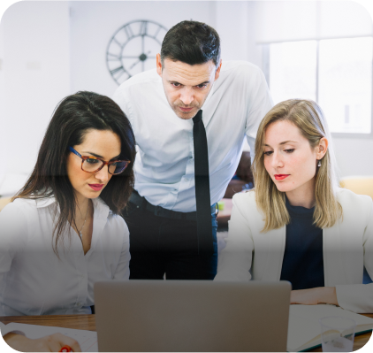 IT professionals discussing a project
