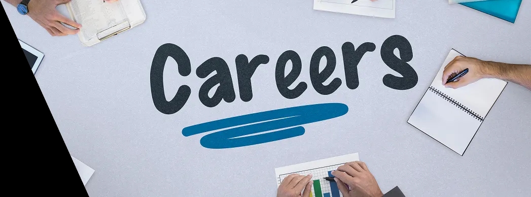Career Image