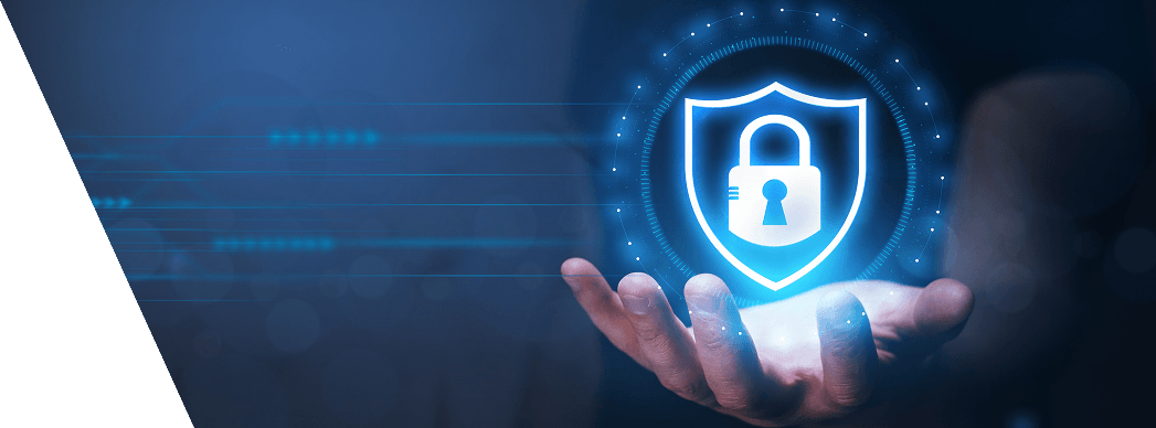 privay-and-policy-banner